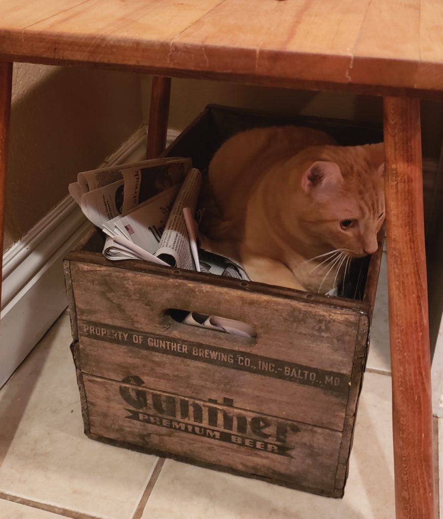 Barbie Kitty sitting in her daddy's antique beer case